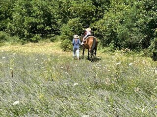 Ferienhaus Rabac Umgebung 28