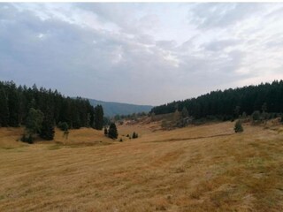 Casa de vacaciones Suhl Entorno 31