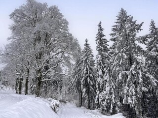 Ferienhaus Suhl Umgebung 27