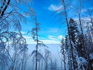 Casa per le vacanze Suhl Ambiente 24