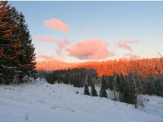 Casa per le vacanze Suhl Ambiente 25