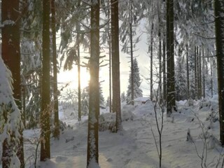 Casa per le vacanze Suhl Ambiente 29