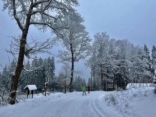 Vakantiehuis Suhl Omgeving 35