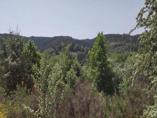 Casa de vacaciones Suhl Entorno 33