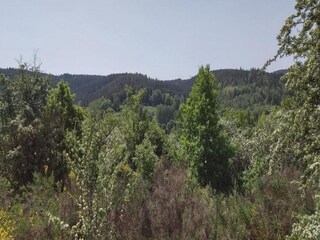 Casa per le vacanze Suhl Ambiente 35