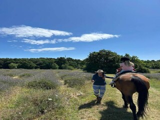 Appartamento Rabac Ambiente 25