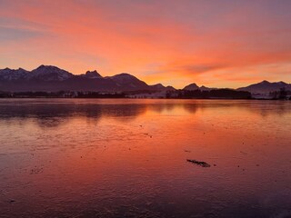 Appartamento per vacanze Hopfen am See Ambiente 37