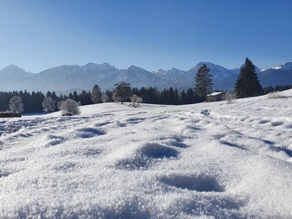 Appartamento per vacanze Hopfen am See Ambiente 38