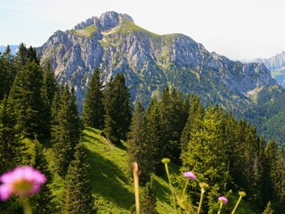 Apartamento de vacaciones Hopfen am See Entorno 33