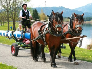 Appartamento per vacanze Hopfen am See Ambiente 34