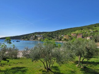 Apartment Rabac Umgebung 14