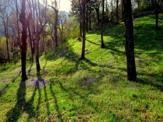 Appartement Rabac Omgeving 39