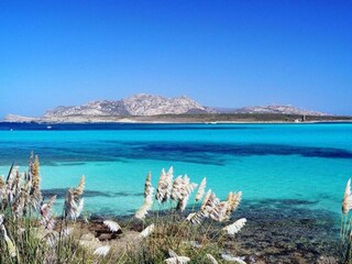 Casa per le vacanze Golfo Aranci Ambiente 40