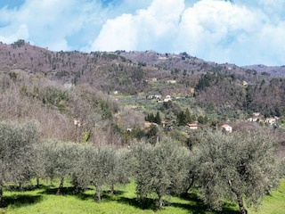 Casa per le vacanze Marliana Ambiente 33