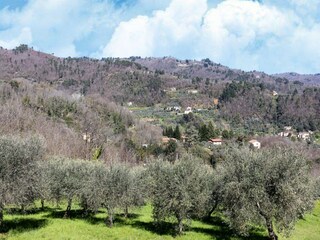 Ferienhaus Marliana Umgebung 33
