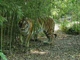 Casa per le vacanze Marliana Ambiente 24