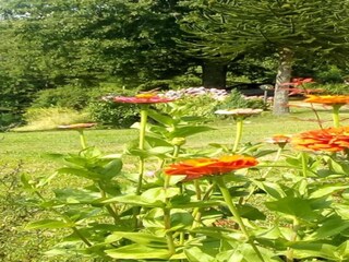 Casa de vacaciones Marliana Entorno 22