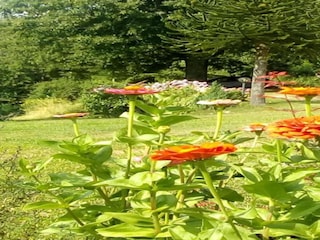 Casa per le vacanze Marliana Ambiente 34