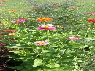 Casa per le vacanze Marliana Ambiente 25