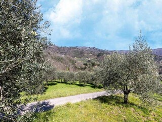 Casa per le vacanze Marliana Ambiente 31