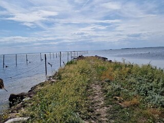 Vakantiehuis Tåsinge  38