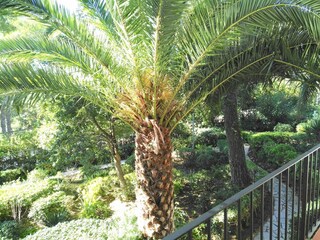 Apartment Llafranc Outdoor Recording 2