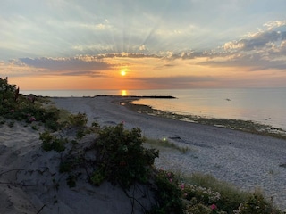 Ferienhaus Liseleje  34