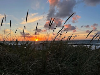 Vakantiehuis Liseleje  20