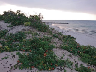 Ferienhaus Liseleje  28