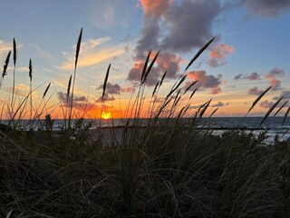 Vakantiehuis Liseleje  36