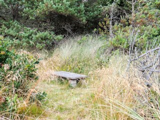 Maison de vacances Blokhus  5