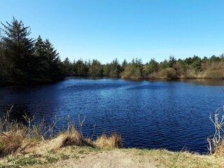 Ferienhaus Blokhus  11