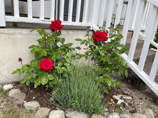 Maison de vacances Löttorp Enregistrement extérieur 13