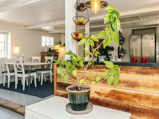 Ferienhaus Hårbølle  29