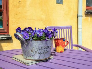 Ferienhaus Hårbølle  31