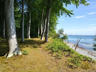 Ferienhaus Hårbølle  19