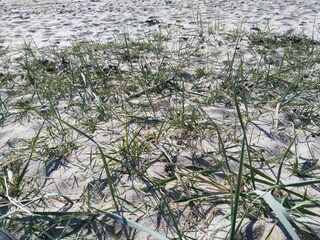 Holiday house Kulhuse  23