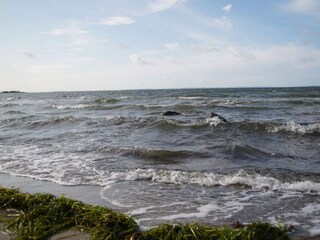 Maison de vacances Kulhuse  37