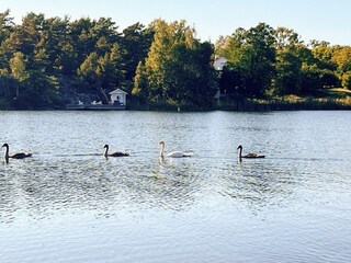 Vakantiehuis Värmdö  22