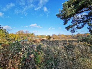 Vakantiehuis Värmdö  18