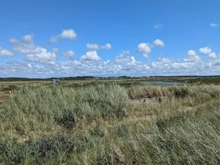 Vakantiehuis Nymindegab  69