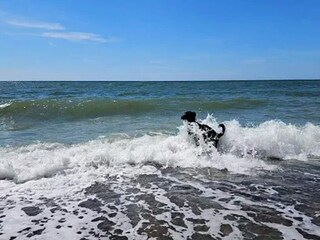 Ferienhaus Nymindegab  75