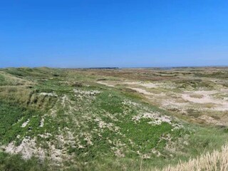 Vakantiehuis Nymindegab  53