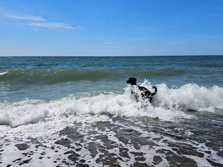Casa per le vacanze Nymindegab  37