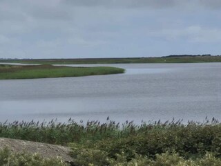 Vakantiehuis Nymindegab  64