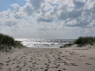 Vakantiehuis Nymindegab  71