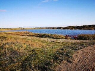 Casa per le vacanze Nymindegab  83