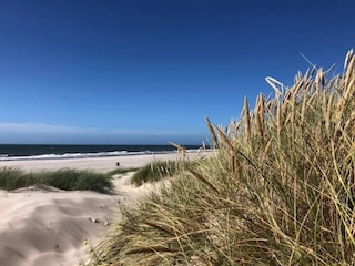 Vakantiehuis Nymindegab  76