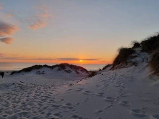 Vakantiehuis Nymindegab  79