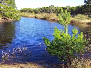 Vakantiehuis Bunken  20